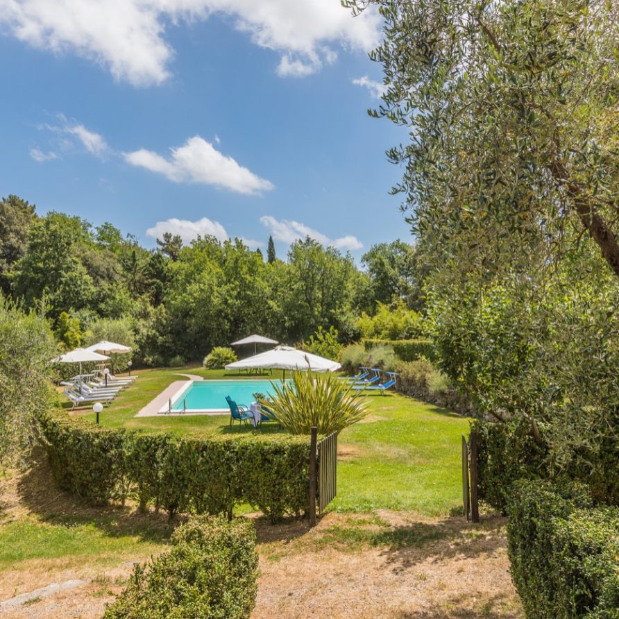 Calla in Tenuta Bellosguardo